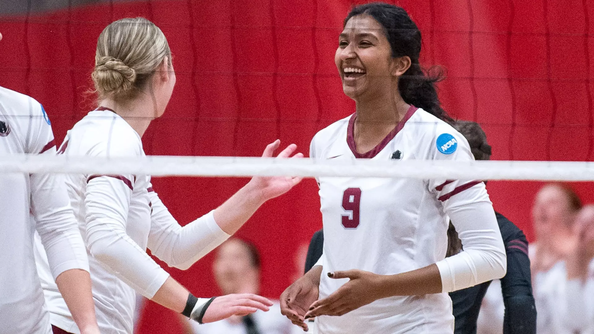 一直是备受 一直是备受