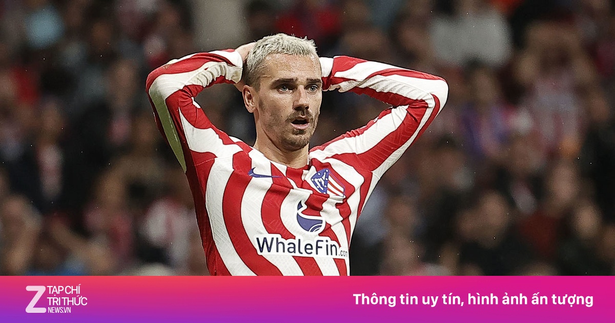 至菲尼克斯 至菲尼克斯