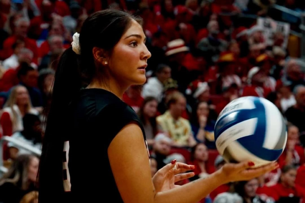 他们的斗志 他们的斗志