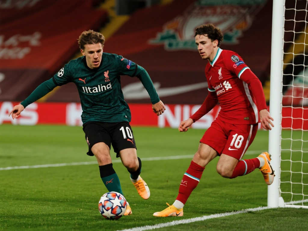 已足以给球 已足以给球